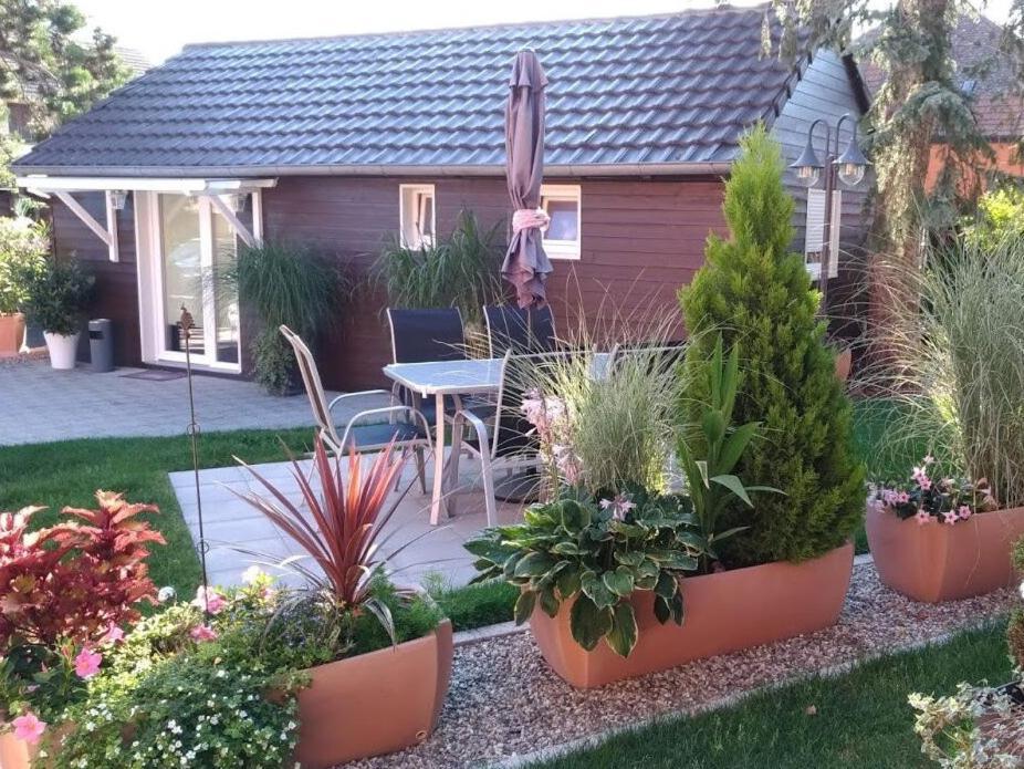 Gites Le P'Tit Paradis Du Ried Sundhouse Luaran gambar